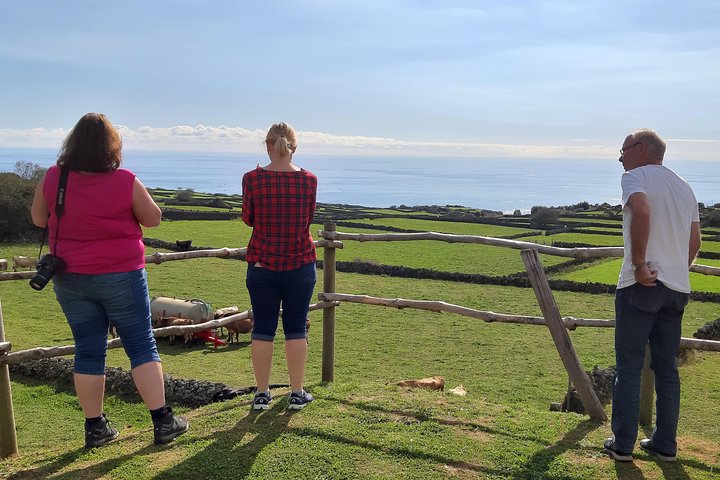 Island Van Tour (Full Day) | Terceira Island