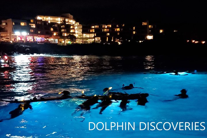 Manta Ray Night Snorkel at Kona, Big Island
