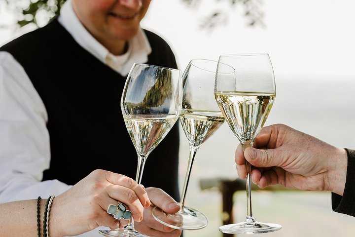 Padua Wine Tasting Walk