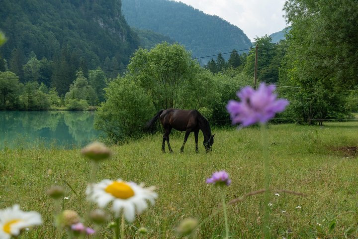 From Bled/Ljubljana: Triglav National Park & Soča Valley Tour