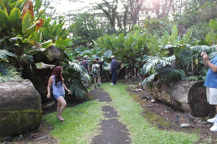 Hilo Shore Excursion: Volcano Safari Lava Caves & Black Sand