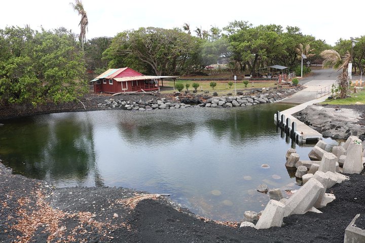 Hilo Shore Excursion: Volcano Safari Lava Caves & Black Sand