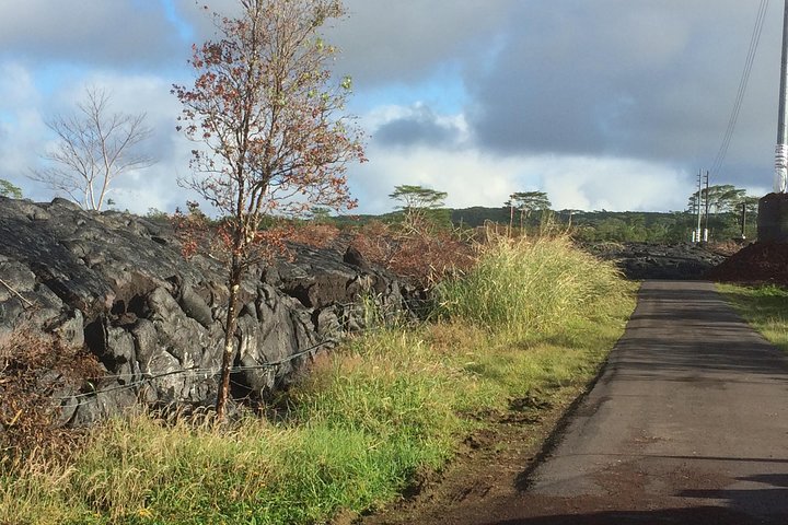 Hilo Shore Excursion: Volcano Safari Lava Caves & Black Sand