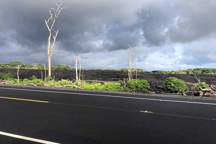 Hilo Shore Excursion: Volcano Safari Lava Caves & Black Sand