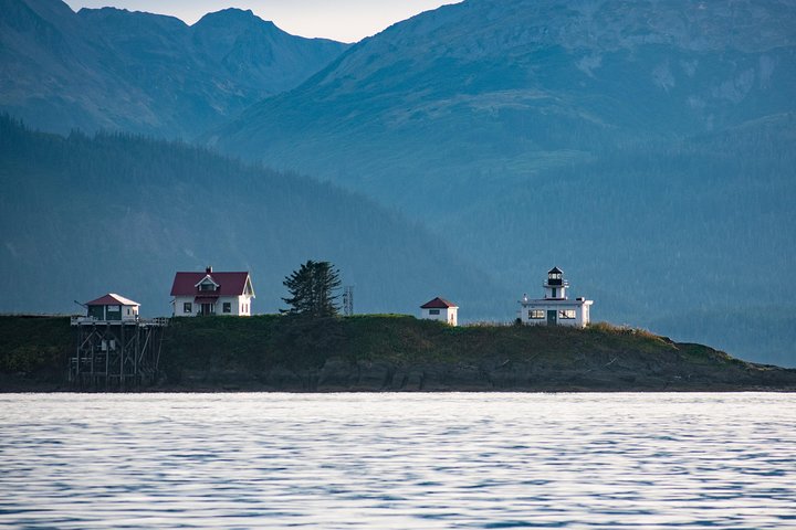 Alaska Whale Watching Cruise: 3 Hours on the Water