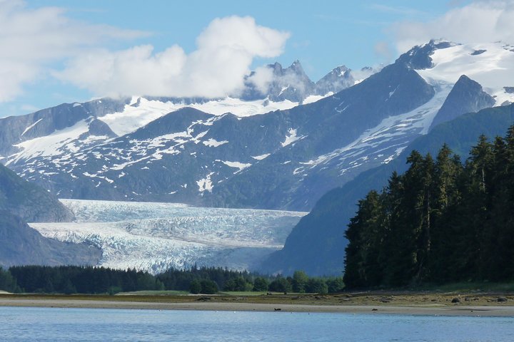Alaska Whale Watching Cruise: 3 Hours on the Water
