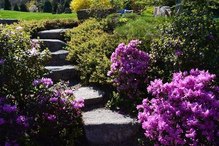 4-Hour Private Acadia Tour Cadillac Mountain & Somes Sound Fiord