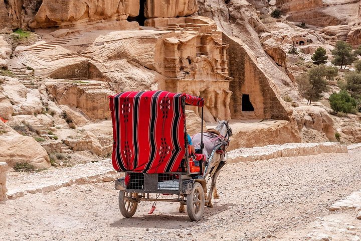 Full Day Private Trip To Petra, Wadi Rum