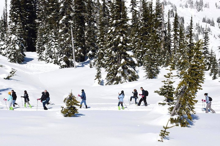 Mt. Rainier National Park Highlights Tour