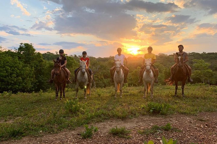 Skip the Line: Estancia Mimosa Admission Ticket