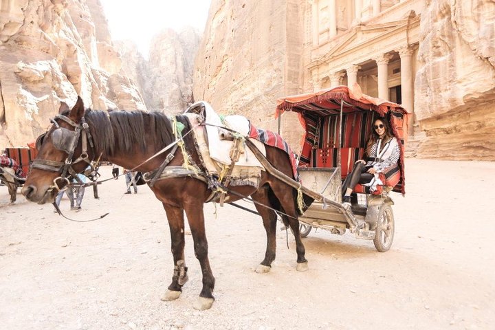 Full Day Private Trip To Petra, Wadi Rum
