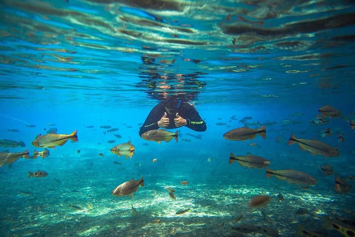 Skip the Line:Recanto Ecologico Rio da Prata Ticket including Trail & Snorkeling