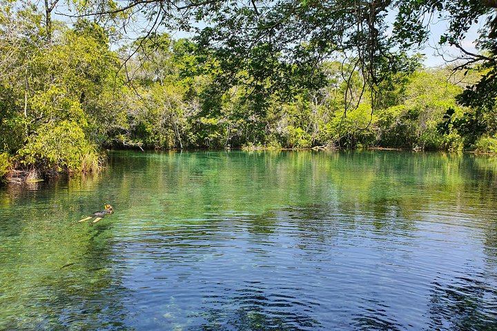 Skip the Line:Recanto Ecologico Rio da Prata Ticket including Trail & Snorkeling