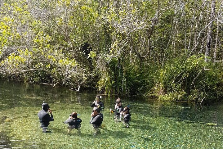 Skip the Line:Recanto Ecologico Rio da Prata Ticket including Trail & Snorkeling
