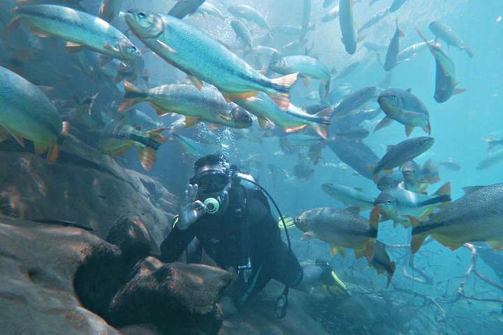 Skip the Line:Recanto Ecologico Rio da Prata Ticket including Trail & Snorkeling