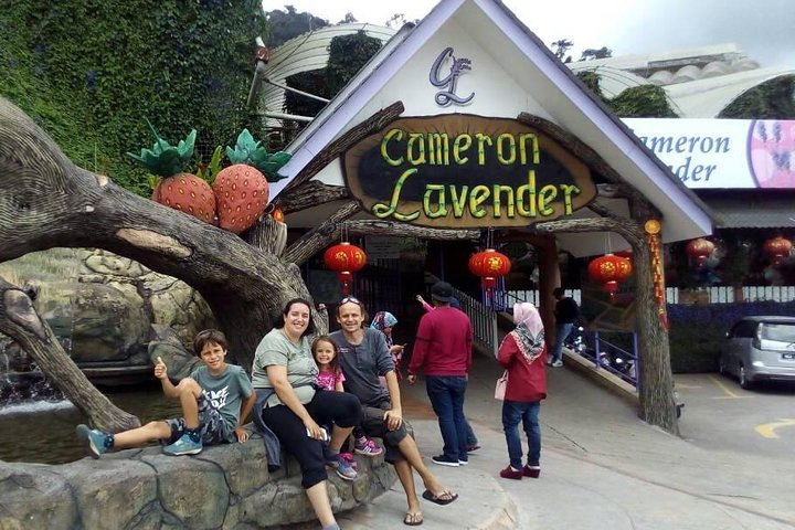Cameron Highlands Sunrise Discovery