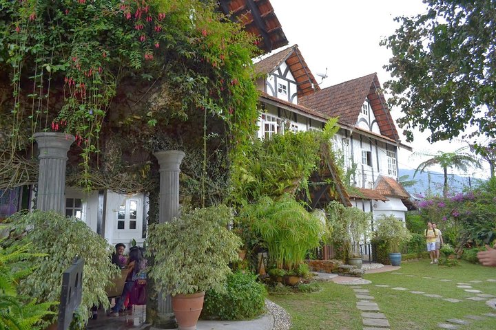 Cameron Highlands: Mossy Forest Tour