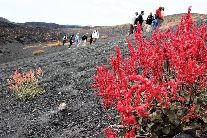Etna Morning Trip