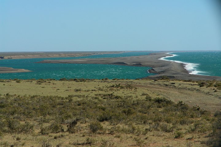 Shore Excursion Peninsula Valdes cruise passengers Puerto Madryn