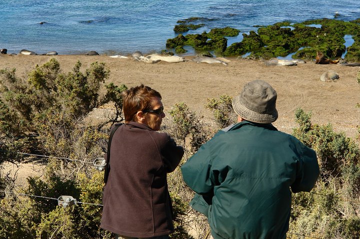 Shore Excursion Peninsula Valdes cruise passengers Puerto Madryn
