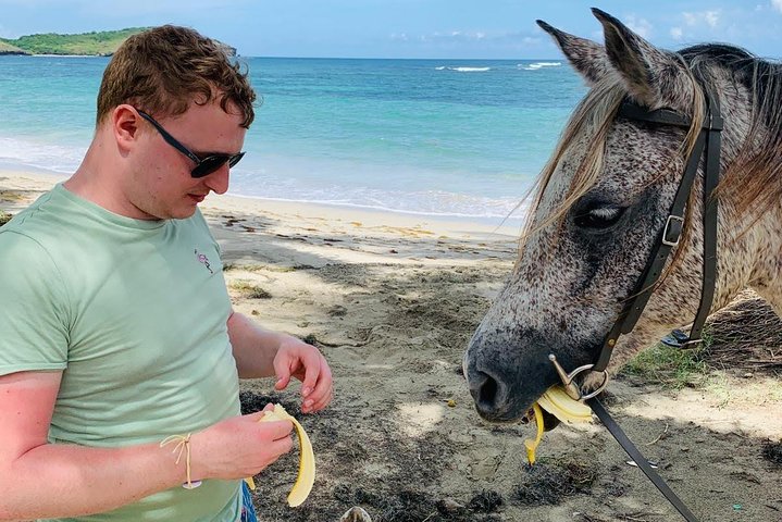 Private Beach Horseback Ride with Sandy Hoofs St. Lucia