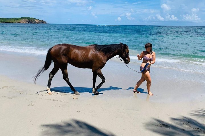 Private Beach Horseback Ride with Sandy Hoofs St. Lucia