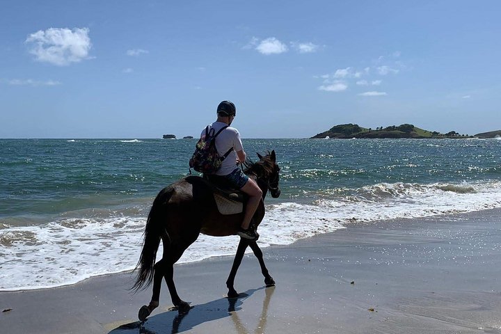 Private Beach Horseback Ride with Sandy Hoofs St. Lucia