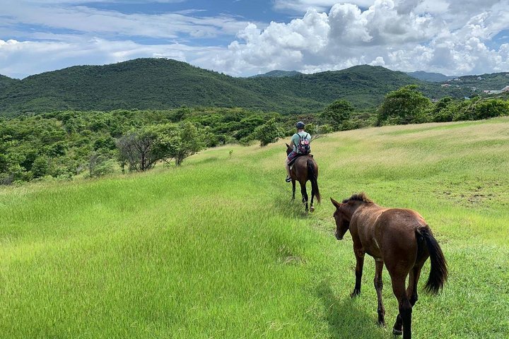 Private Beach Horseback Ride with Sandy Hoofs St. Lucia