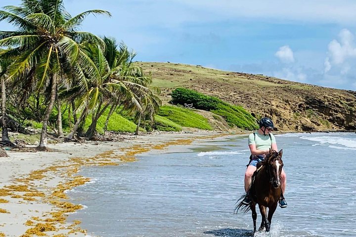 Private Beach Horseback Ride with Sandy Hoofs St. Lucia