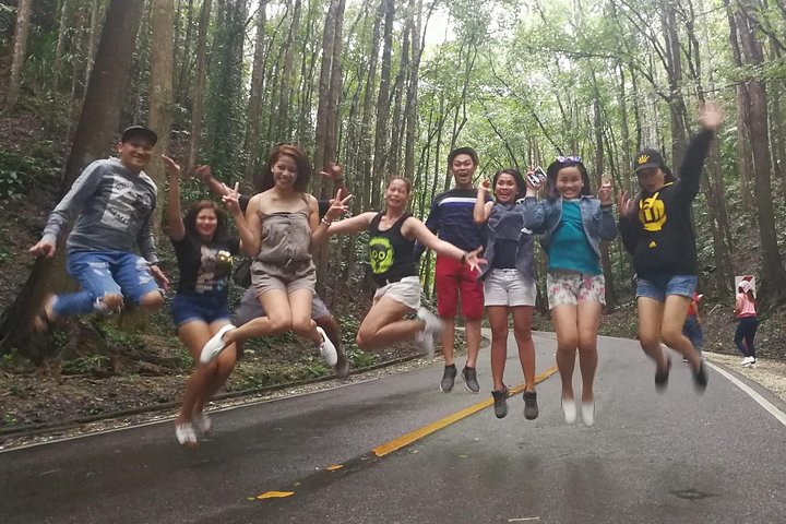 BOHOL Tour 2026 - Chocolate Hills, Tarsier and River Cruise Lunch