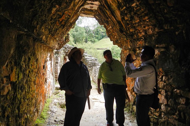 Tour to Palenque and Cascada de Misol Ha