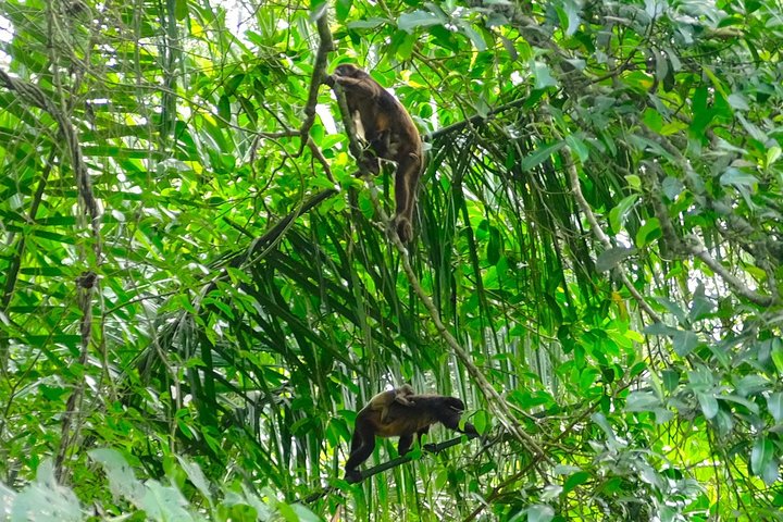 The rain forest, surroundings & lunch.