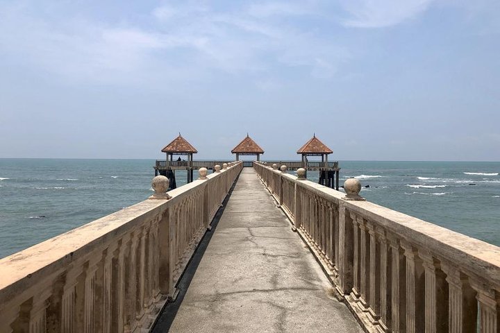 Johor Day Tour - Ostrich Farm, Beach, Waterfall, Fireflies [Car]