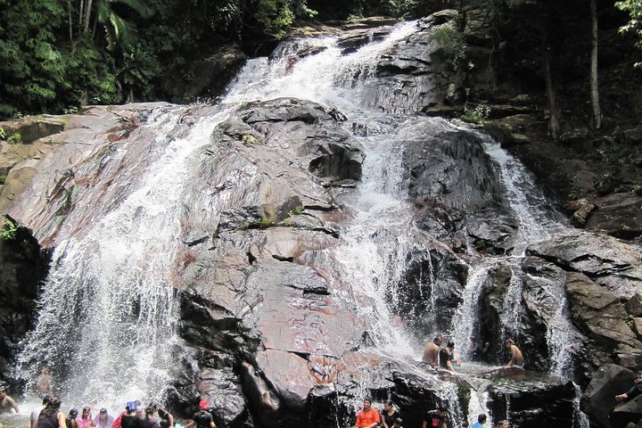 Johor Day Tour - Ostrich Farm, Beach, Waterfall, Fireflies [Car]