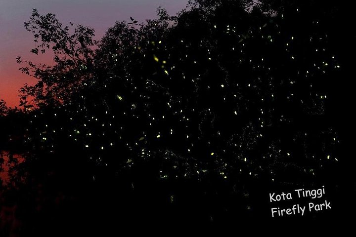 Johor Day Tour - Ostrich Farm, Beach, Waterfall, Fireflies [Car]