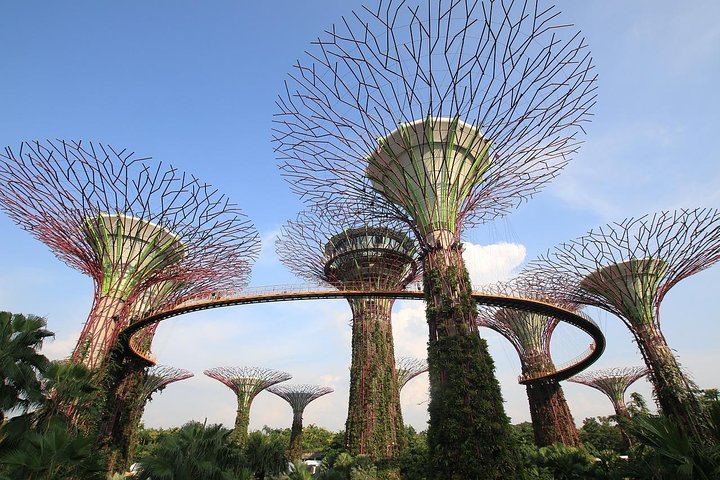 6 Hours - Singapore Tour in Private Car or Minibus with Driver