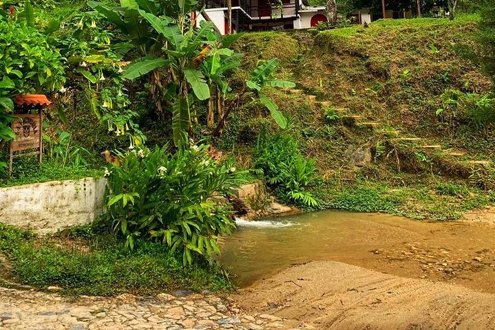 MINCA TOUR - Explore waterfalls and discover the origin of coffee and cocoa