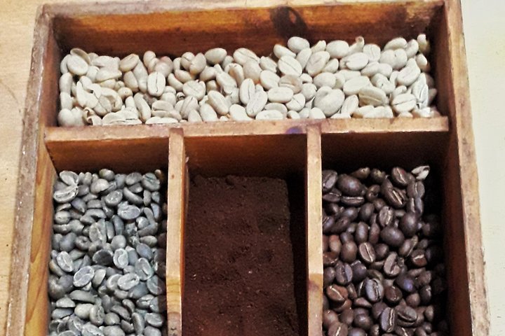 MINCA TOUR - Explore waterfalls and discover the origin of coffee and cocoa