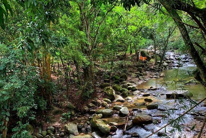 MINCA TOUR - Explore waterfalls and discover the origin of coffee and cocoa