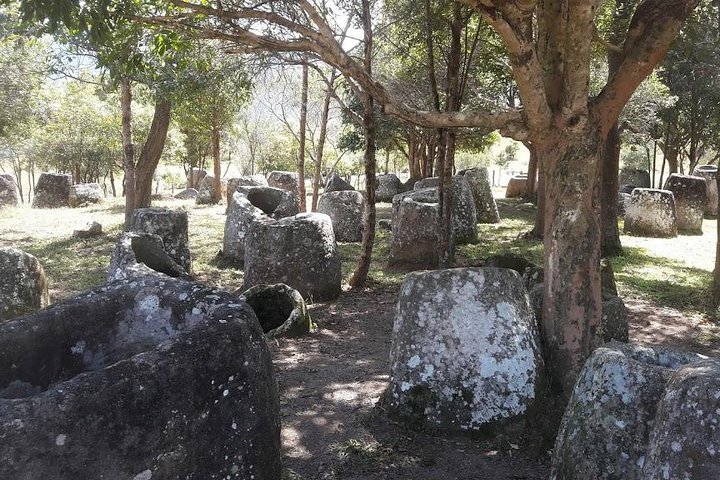 Plain of jars tour with local guide