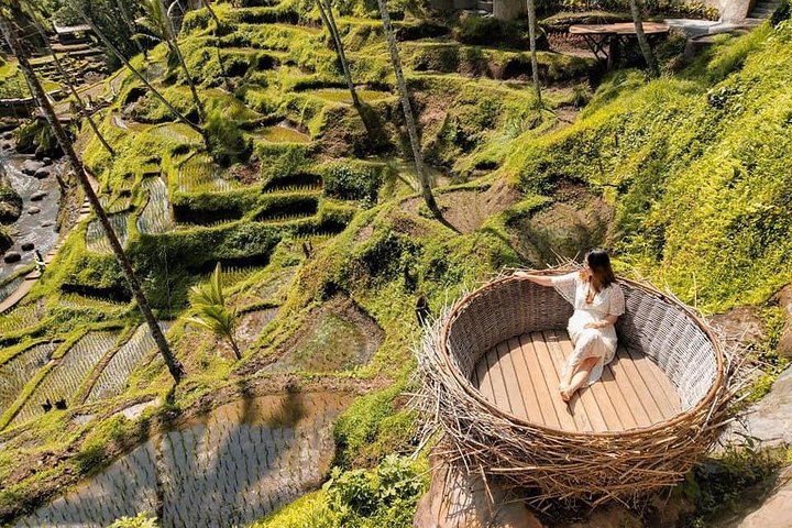 Ubud: Monkey Forest, Jungle Swing, Rice Terrace and Water Temple