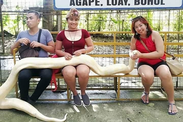 Exclusive Bohol,Philippines Chocolate Hills-Tarsier Tour