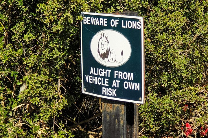 Addo Elephant National Park All Inclusive Full-Day Safari