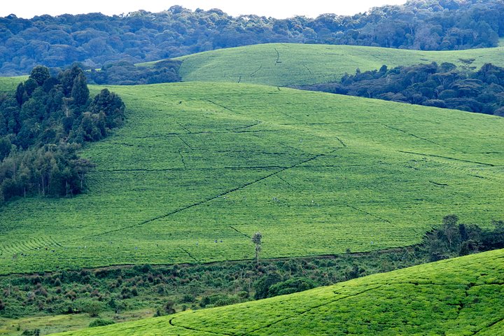 Burundi Day Trip to Karera Waterfalls- Source of Nile-Gitega National Museum