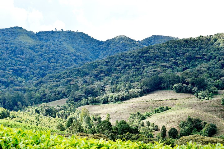 Burundi Day Trip to Karera Waterfalls- Source of Nile-Gitega National Museum