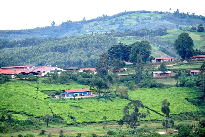 Burundi Day Trip to Karera Waterfalls- Source of Nile-Gitega National Museum