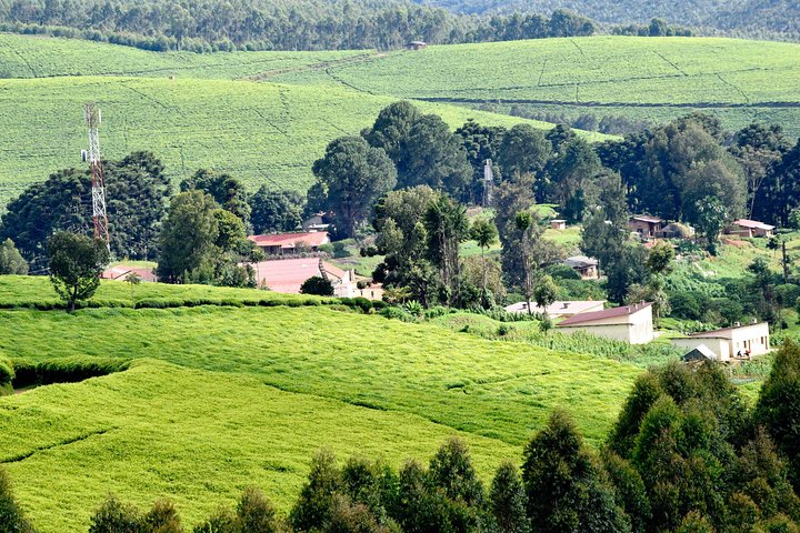 Burundi Day Trip to Karera Waterfalls- Source of Nile-Gitega National Museum