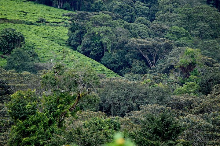 Burundi Day Trip to Karera Waterfalls- Source of Nile-Gitega National Museum
