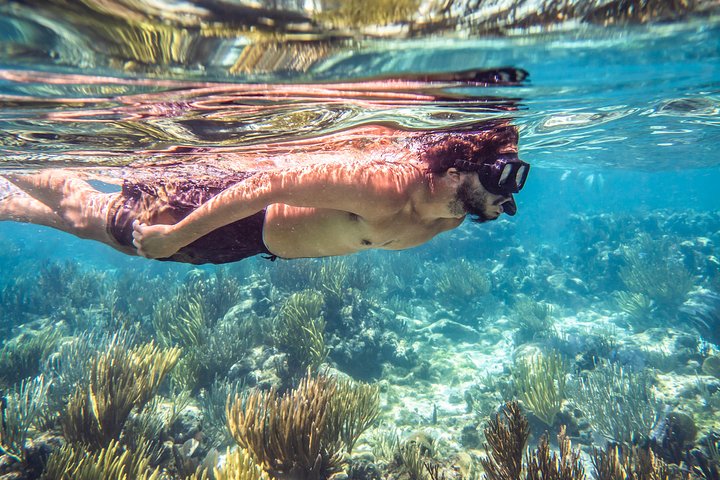 Starfish Point, Stingray City-Sandbar & Coral Gardens