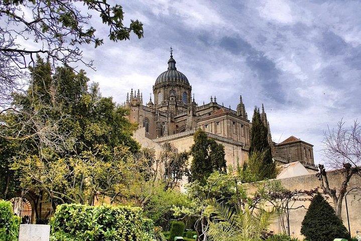 Private 3-hour Walking Tour of Salamanca